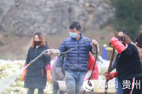 210FʡǭhGlSմȺڼϴˮ} Ӗ z