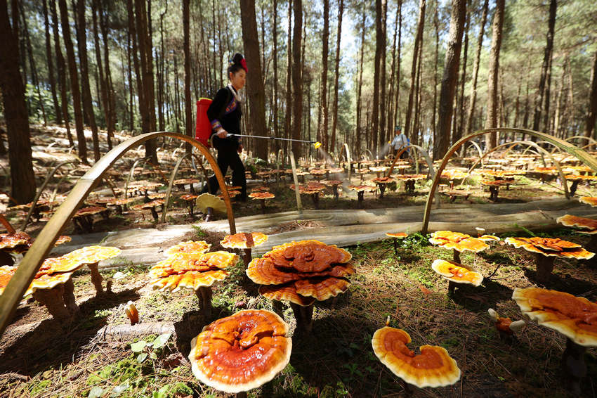 Fݣ`֥wȺ͘Iպáؐ