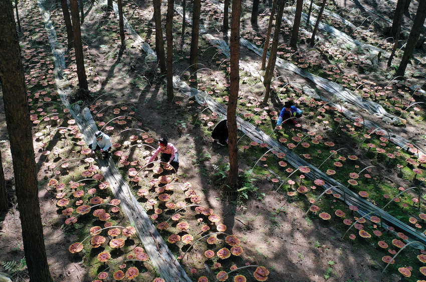 66Fʡǭ|嶱ݵկhȪֵ׵طؚwc`ֲ֥wڽo`֥˹ݣo˙CƬ