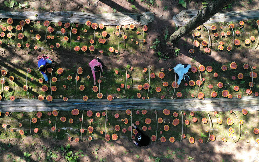 66Fʡǭ|嶱ݵկhȪֵ׵طؚwc`ֲ֥wڽo`֥˹ݣo˙CƬ