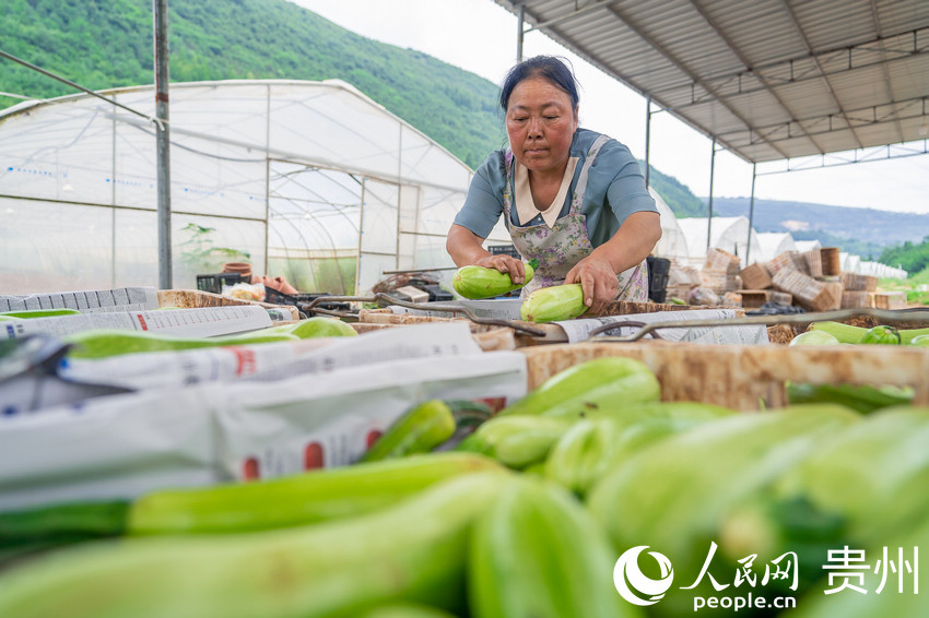 ںȄչĴ񌢲ժJbW Ϳz