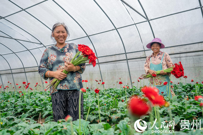 ǭкˮL^ܷNֲ؃ڲʢ_ľջW Ϳz