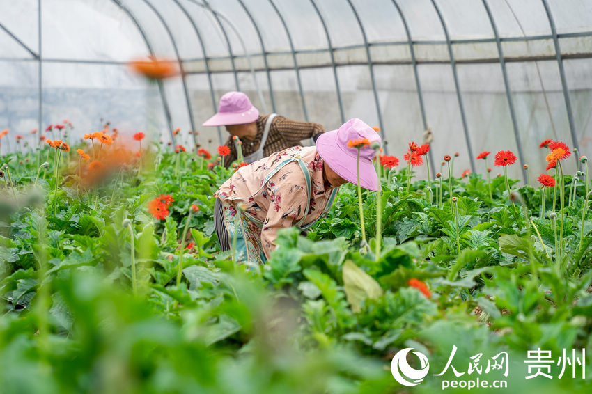 ǭкˮL^ܷNֲ؃ڽoջW Ϳz