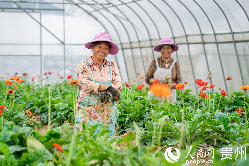 ǭкˮL^ܷNֲ؃ȄչĴW Ϳz