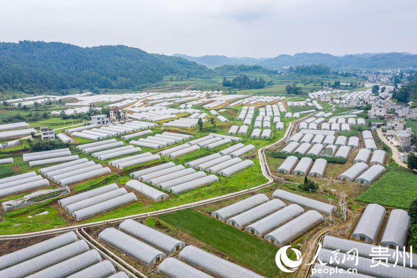 ǭкˮL^ܷNֲW Ϳz