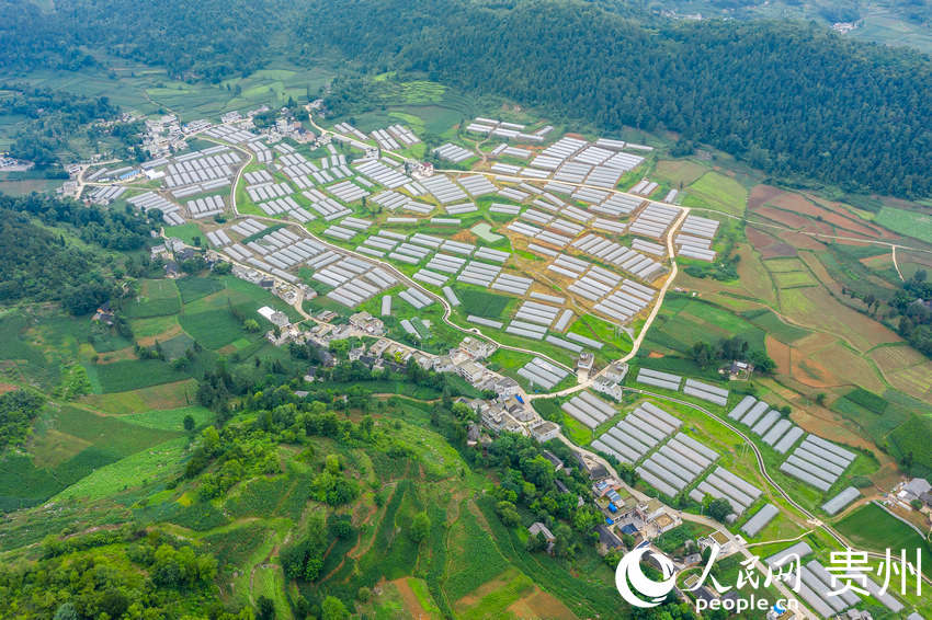 ǭкˮL^ܷNֲW Ϳz