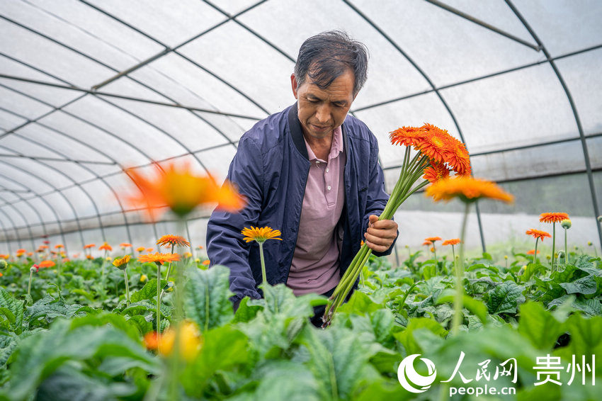 ǭкˮL^ܷNֲ؃ڲʢ_ľջW Ϳz