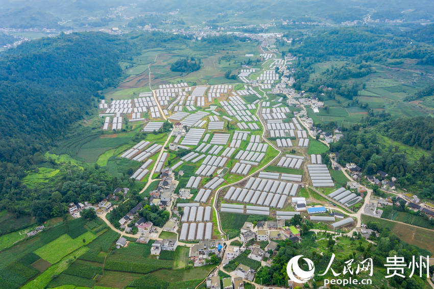 ǭкˮL^ܷNֲW Ϳz