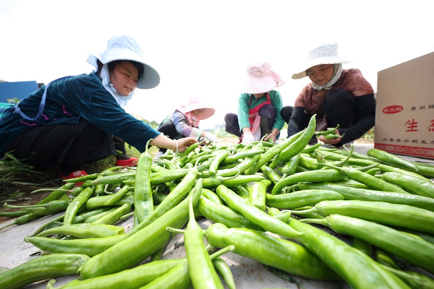 76FʡկhȪֵANֲط֒