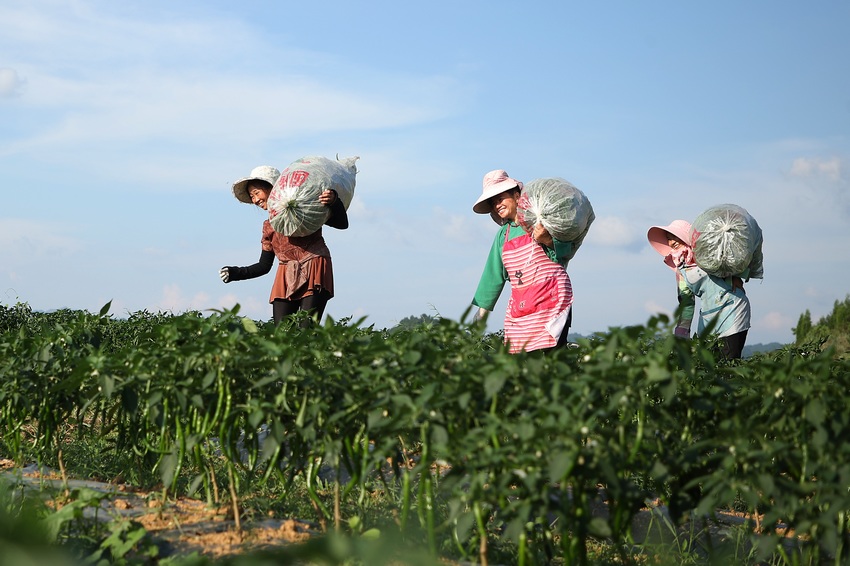 76FʡկhȪֵNֲڰ\ժõ