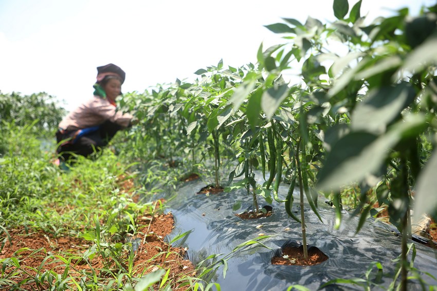 76FʡկhȪֵNֲڲժ