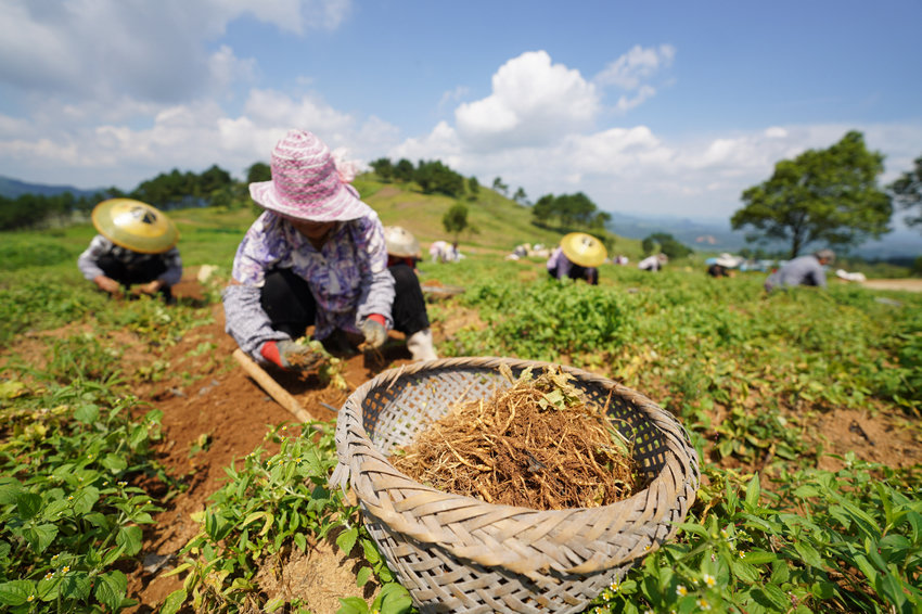 77FʡկhddʴˎķNֲز̫Ӆ