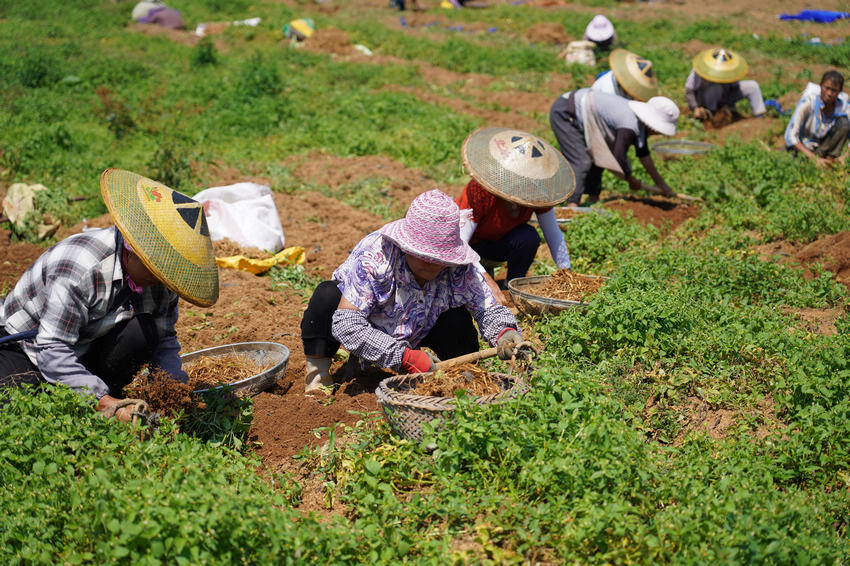 77FʡկhddʴˎķNֲز̫Ӆ