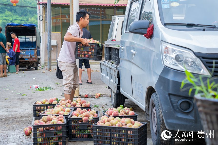 Јˮ؜턂ُGtW Ϳz