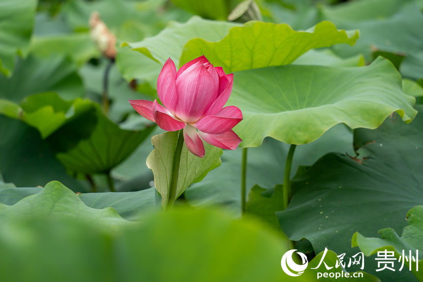 Fаƅ^Rɽ羰^ʢ_ĺɻW Ϳz