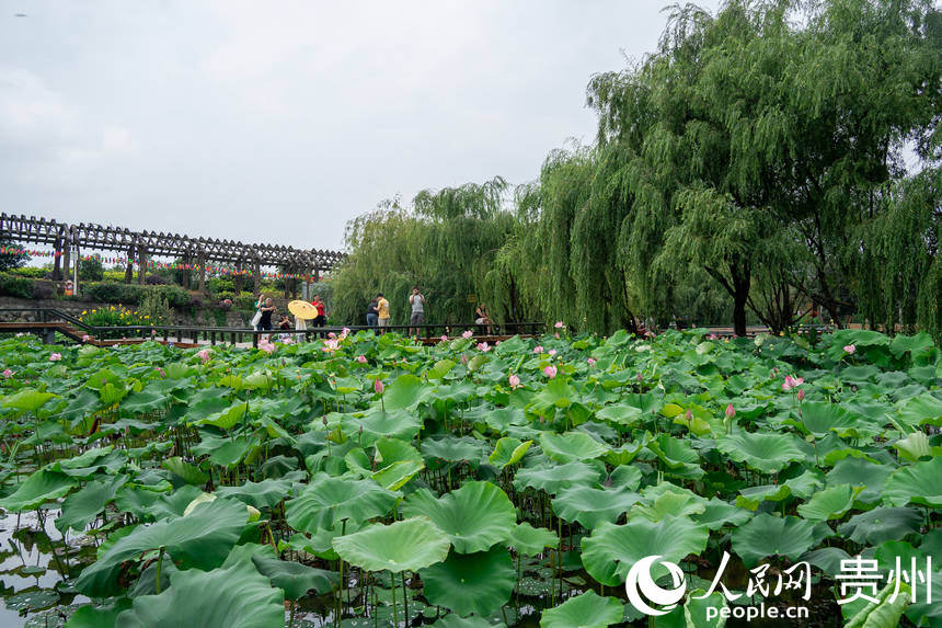 οھ^ɻ؃W Ϳz