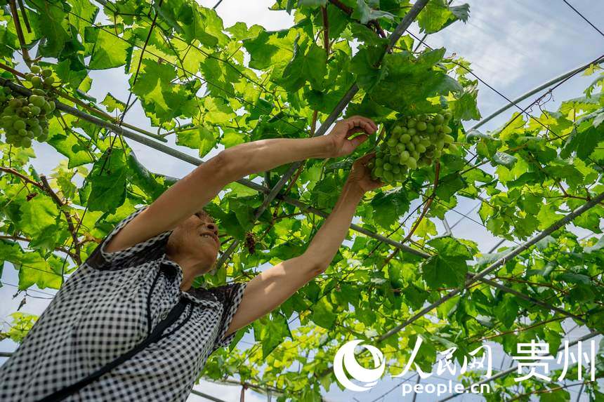 ڈ@ȄչĹ޳ƓpѺѴ״W Ϳz