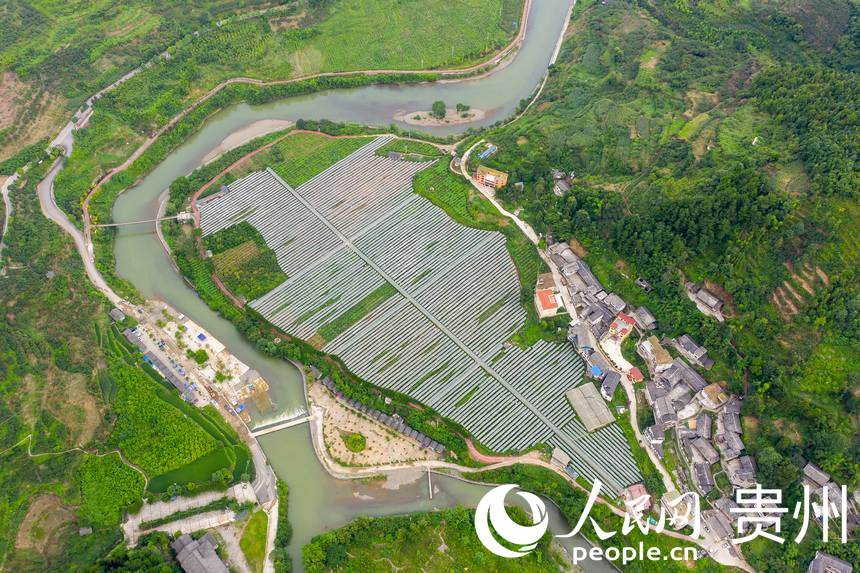 _ꖿhSlRrʳѲժ^@W Ϳz