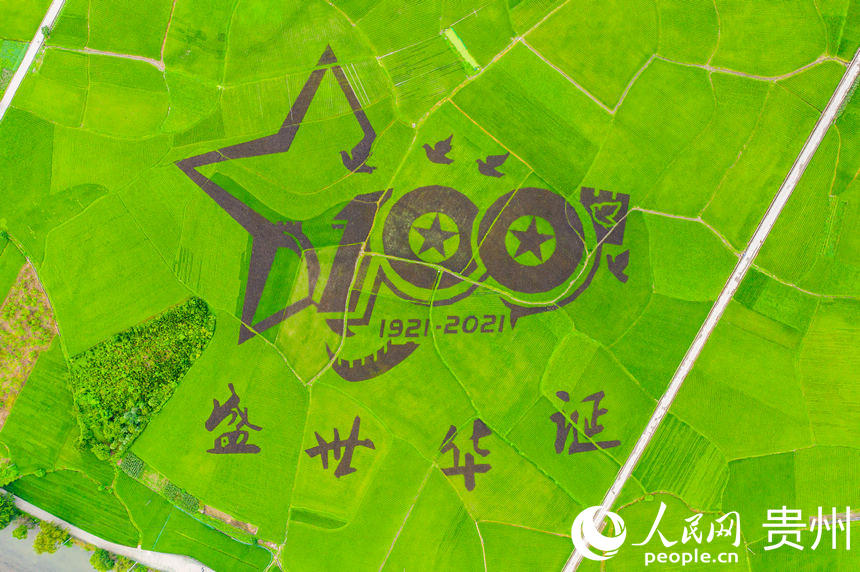 Sl׸C΅^^ȑcףh100DW Ϳz