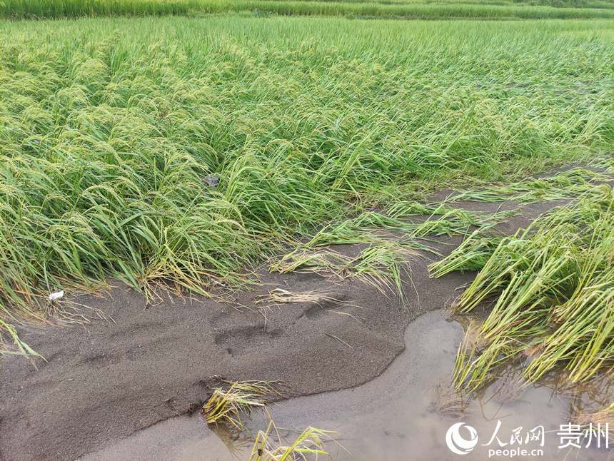 ﱻˮ_fԼˮW ƽܔz