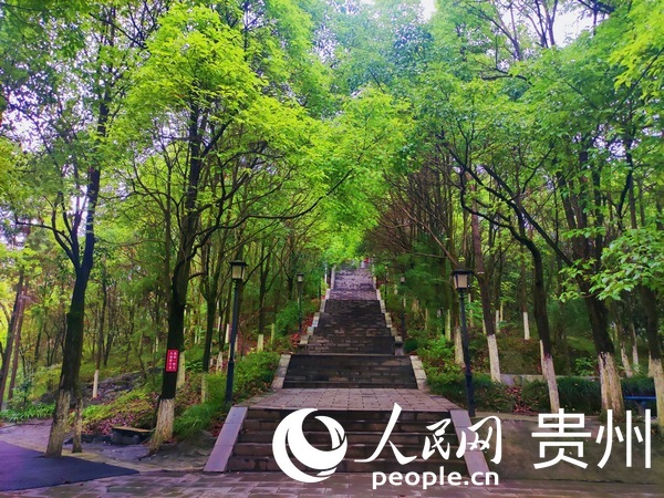 _@̎Ҫ^o[Gݲ_AW ƽܔz