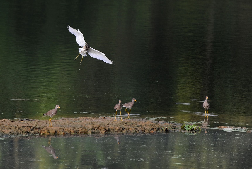 915Fʡǭ|嶱ݵկhǽ|ع@Ϣ