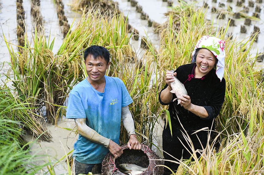 2021912ڄP_ѽֵ춡׽~ʺz