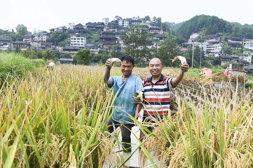 2021912ڄP_ѽֵ춡׽~ʺz