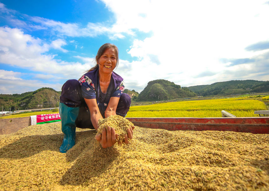 2021929Fʡοhµ悶ƺrի@ʌWz