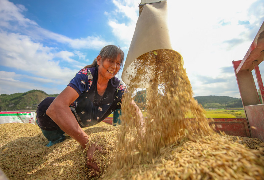 2021929Fʡοhµ悶ƺrի@ʌWz