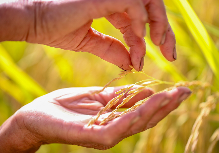 2021929Fʡοhµ悶ƺrڲ鿴w ʌWz