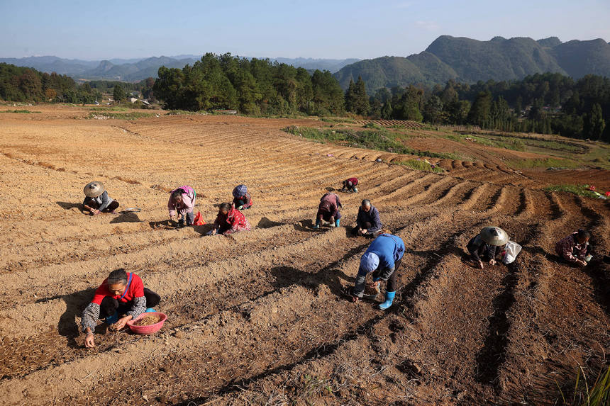 1118Fʡկhd悼_̫Ӆ