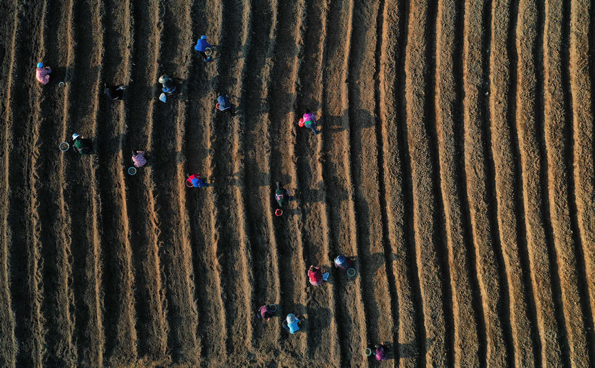 1118Fʡկhd悼_̫Ӆo˙CƬ