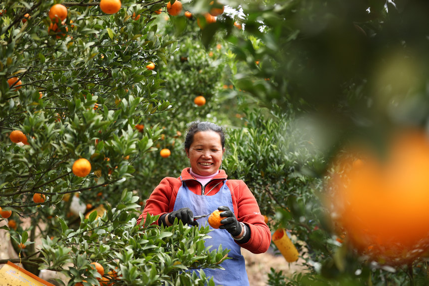 1220Fʡկh{悷ٴո̷Nֲի@ո  