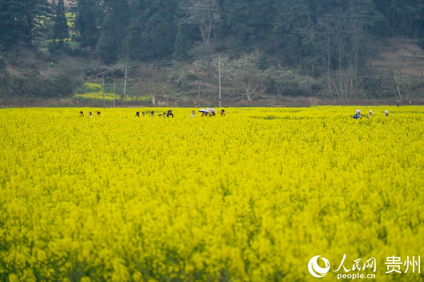 Ľοڻp̤W Ϳz