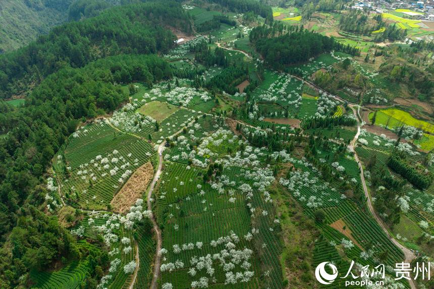 ĸȪƺ悸dţLʲ@W Ϳz