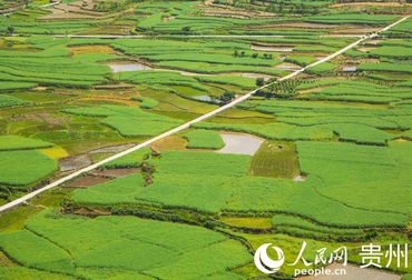 ؓô һһʮﮋʮﮋ΅^ҪغӃɰ@Ldwṩ^pժΘwe