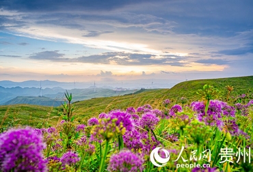 ϻ һFݾ²ƺ^СЇҰ²ˡǾ֮lķQ̖