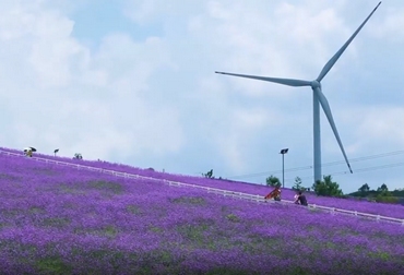 һ 픻L픻λFлϪ^lFЅ^lֻһСrܵ_^ĩeյĺȥ̎