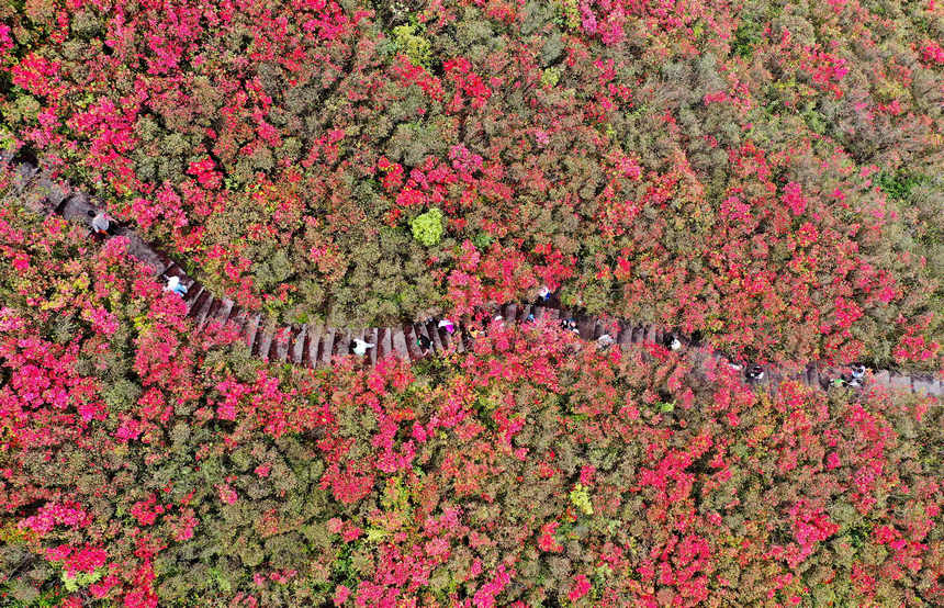 423οFʡǭ|嶱ݵկhȪɽ^pNo˙CƬ  