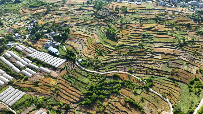 Fʡ󷽿hLʯ悗^BƬ ӖFz