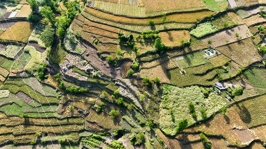 Fʡ󷽿hLʯ悗^BƬӖFz 