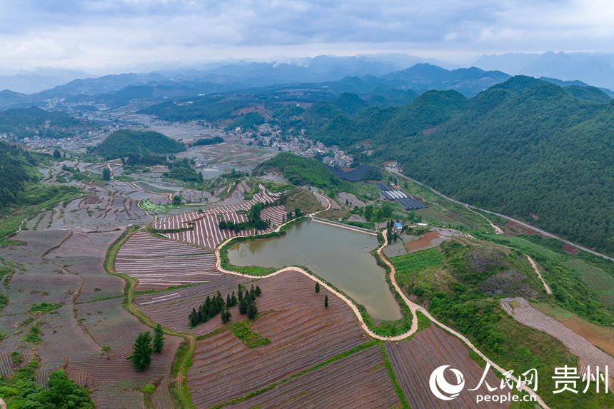 ɽеİG悲״rW Ϳz