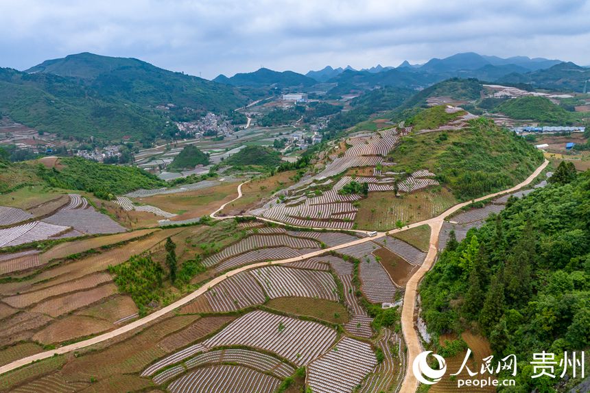 ɽеİG悲״rW Ϳz