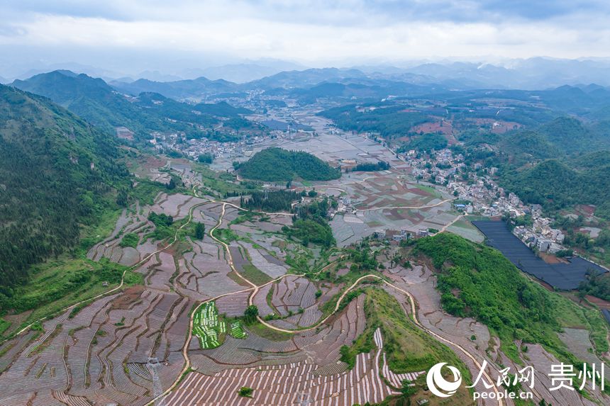 ɽеİG悲״rW Ϳz