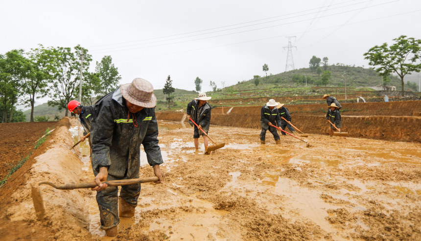 Fʡ󷽿hRɳȺMƽ˾z