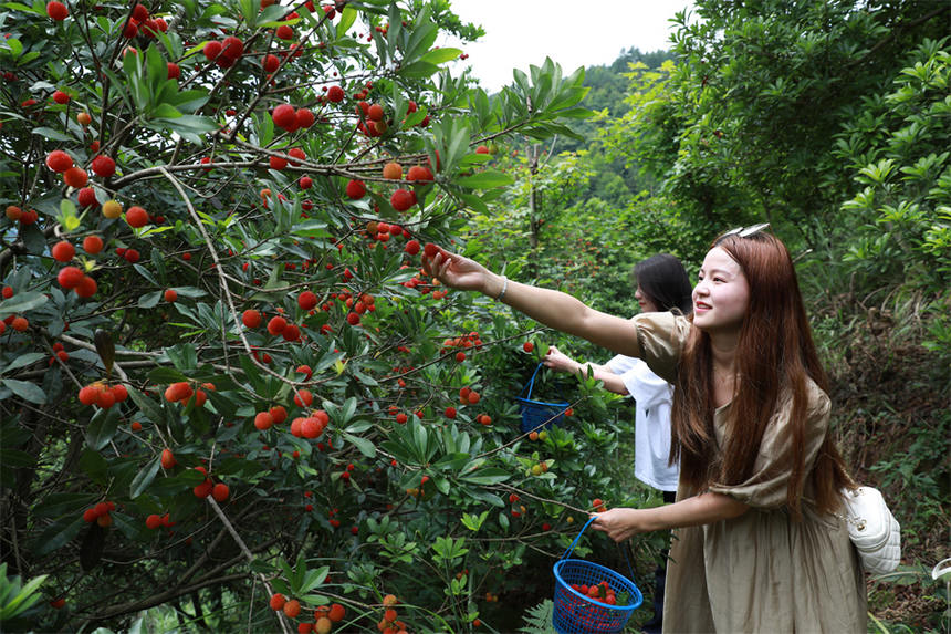 οڄӿhȪժ÷ ϔz