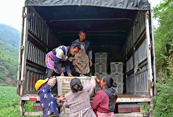 {ӺhilϿڴԴïr񌣘I繤ڌJb܇