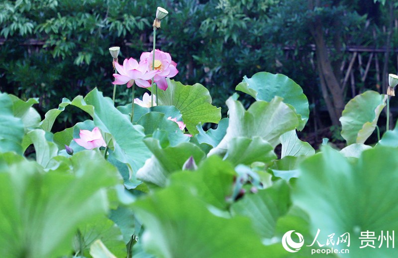 ʮӞ`ŵĺɻW mƔz