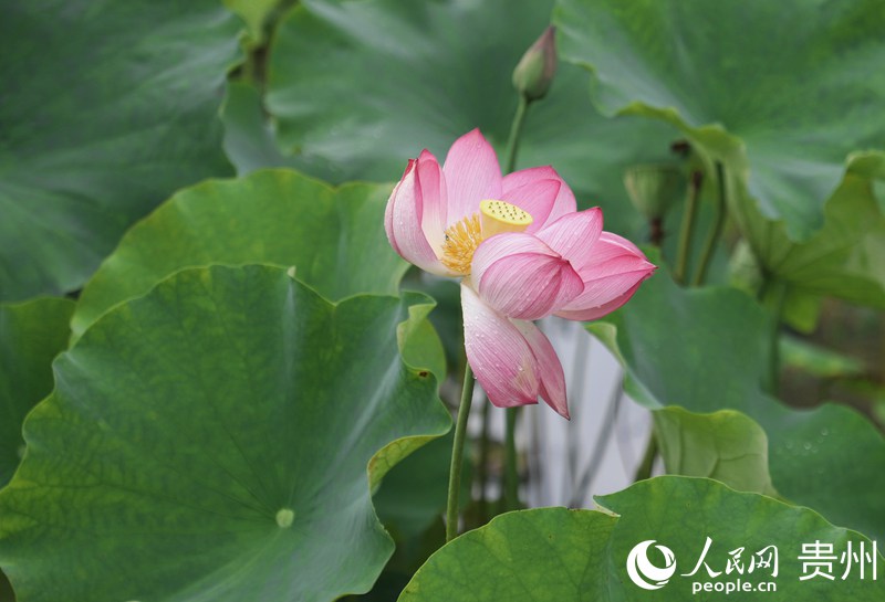 ʮӞ`ŵĺɻW mƔz